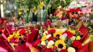 云南买花怎么带回来