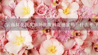 云南鲜花批发市场批发鲜花便宜吗？什么平 台好1点？