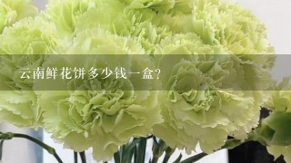 云南鲜花饼多少钱1盒？