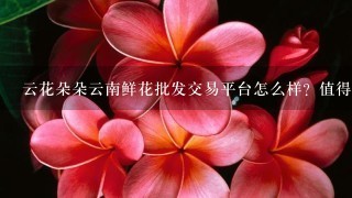 云花朵朵云南鲜花批发交易平台怎么样？值得选择吗？