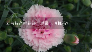 云南特产鲜花饼可以带上飞机吗？