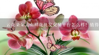 云花朵朵云南鲜花批发交易平台怎么样？值得选择吗？