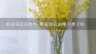 鲜花饼会长胖吗 鲜花饼云南哪个牌子好