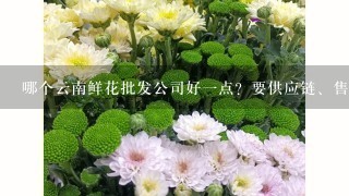 哪个云南鲜花批发公司好1点？要供应链、售后完善1点的