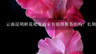 云南昆明鲜花批发商家有值得推荐的吗？长期合作