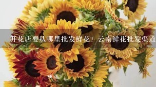 开花店要从哪里批发鲜花？云南鲜花批发渠道在哪里找？