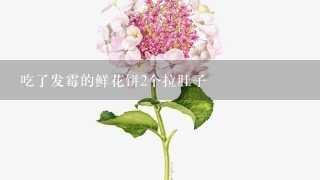 吃了发霉的鲜花饼2个拉肚子