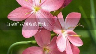 自制鲜花饼皮的做法？