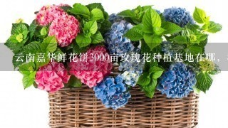 云南嘉华鲜花饼3000亩玫瑰花种植基地在哪，我在网上查了查大概在曲靖市马龙县，求具体位置，要离昆明