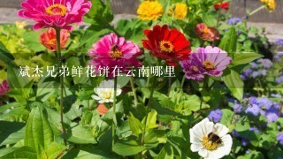 斌杰兄弟鲜花饼在云南哪里