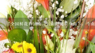 “全国鲜花看云南，云南鲜花看斗南”，斗南花市距昆明市区约18公里，是亚洲最大的鲜花交易市场，也是中国最大的花卉交易市场...