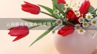 云南鲜花批发市场是哪里