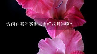 请问在哪能买到云南鲜花月饼啊?