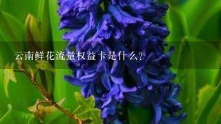 云南鲜花流量权益卡是什么？