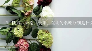 5 陕西、云南、贵阳、东北的名吃分别是什么?