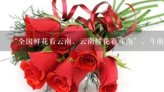 “全国鲜花看云南，云南鲜花看斗南”，斗南花市距昆明市区约18公里，是亚洲最大的鲜花交易市场，也是中国最大的花卉交易市场...