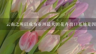 云南之所以成为亚洲最大的花卉出口基地是因为（ ）<br/>1、国内市场对鲜花需求量的减少<br/>2、气候条件优越、资源