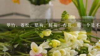 翠竹，苍松，腊梅，鲜花，杏花，那1个是不同类。