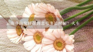 云南斗南发鲜花到北京多长时间？火车