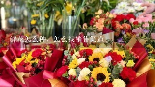 鲜花怎么种，怎么找销售渠道？