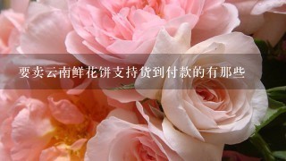 要卖云南鲜花饼支持货到付款的有那些