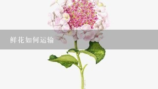 鲜花如何运输