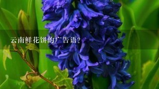 云南鲜花饼的广告语？