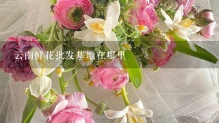 云南鲜花批发基地在哪里