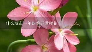 什么城市1年4季开满鲜花？