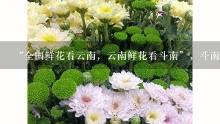 “全国鲜花看云南，云南鲜花看斗南”，斗南花市距昆明市区约18公里，是亚洲最大的鲜花交易市场，也是中国最大的花卉交易市场...