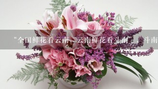 “全国鲜花看云南，云南鲜花看斗南”，斗南花市距昆明市区约18公里，是亚洲最大的鲜花交易市场，也是中国最大的花卉交易市场...