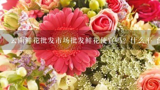 云南鲜花批发市场批发鲜花便宜吗？什么平 台好1点？