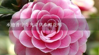 承德普宁寺允许供奉鲜花吗