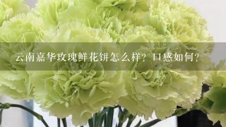 云南嘉华玫瑰鲜花饼怎么样？口感如何？