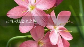 云南火腿怎么烹调