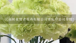 云南鲜花使者花卉有限公司重庆分公司介绍？