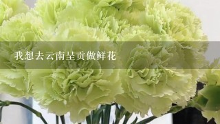 我想去云南呈贡做鲜花