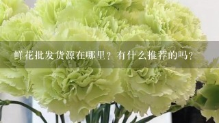 鲜花批发货源在哪里？有什么推荐的吗？