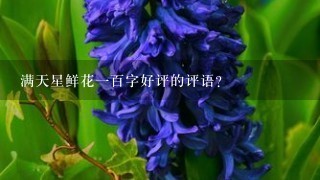 满天星鲜花1百字好评的评语？