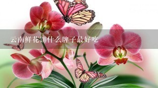 云南鲜花饼什么牌子最好吃