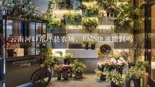 云南河口东坪县农场，EMS快递能到吗