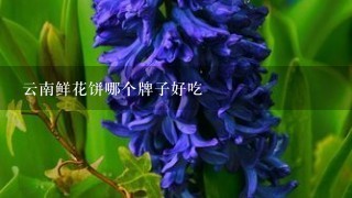 云南鲜花饼哪个牌子好吃