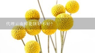 代理云南鲜花饼好不好？