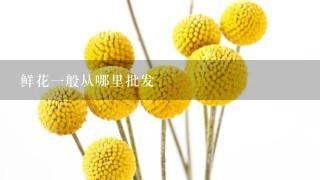 鲜花1般从哪里批发