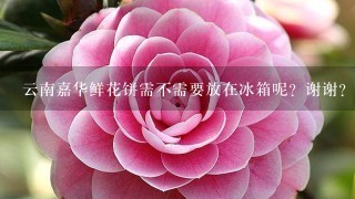 云南嘉华鲜花饼需不需要放在冰箱呢？谢谢？