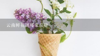 云南鲜花饼哪家品牌