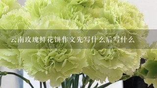 云南玫瑰鲜花饼作文先写什么后写什么