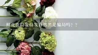 鲜花洗白发白发自然黑是骗局吗？？