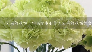 云南鲜花饼1句话文案有什么云南鲜花饼的文案