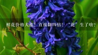 鲜花价格大涨！直接翻4倍！“花”生了啥？